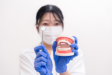 導入ステップ図