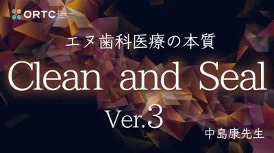 Clean and Seal3